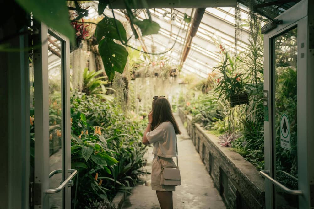 Cairns Botanic Gardens