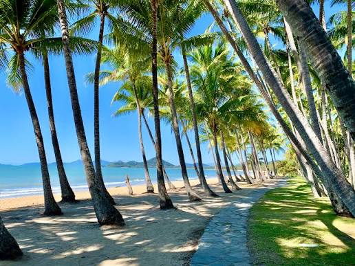 Palm Cove Beach