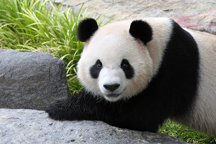 Adelaide Zoo
