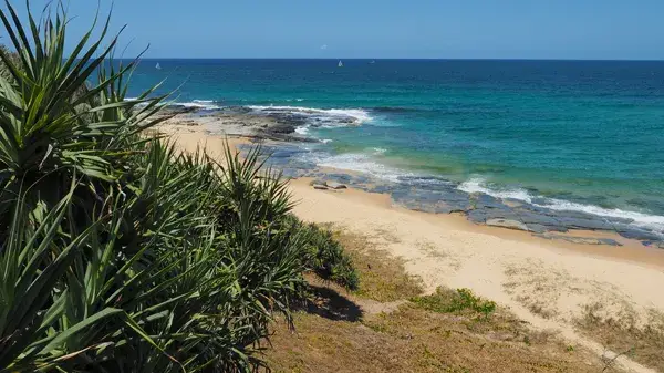 Point Cartwright Reserve