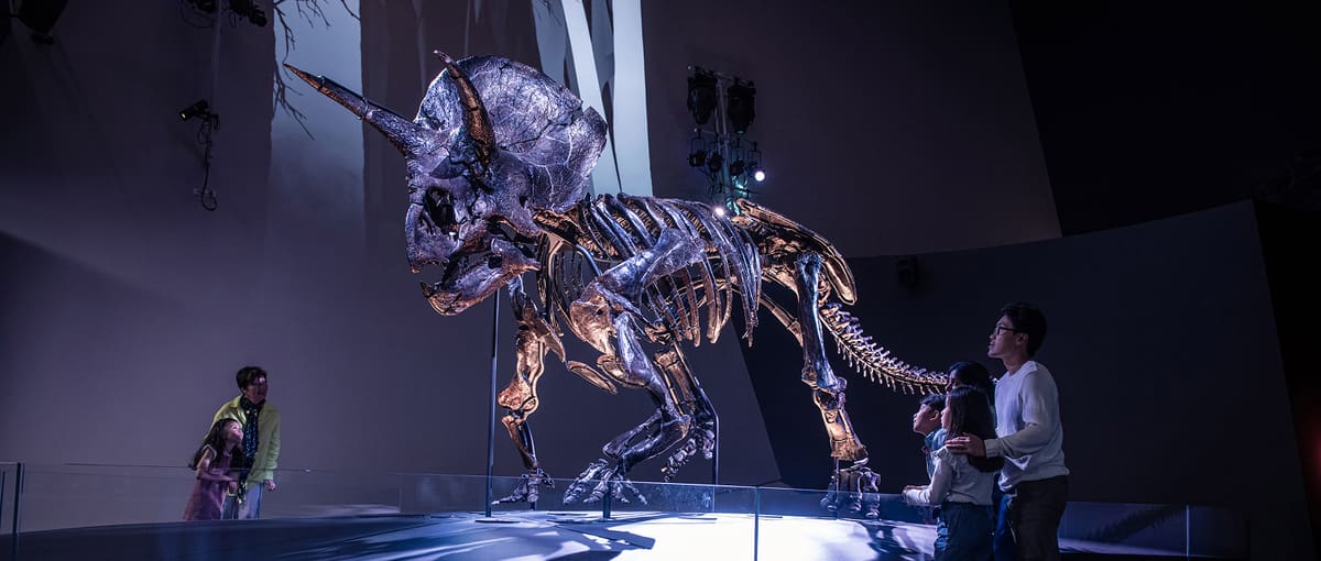 Melbourne Museum