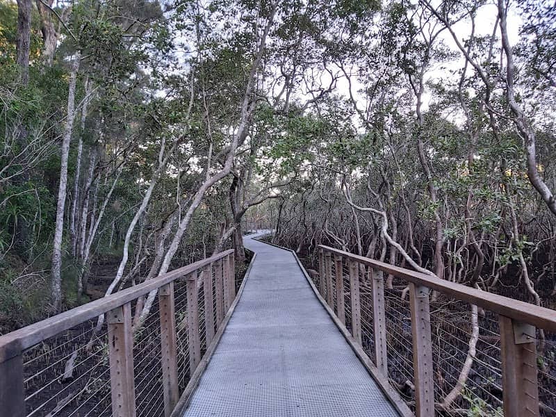 Tallebudgera Creek Conservation Park