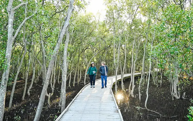 Hunter Wetlands National Park