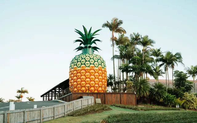 The Big Pineapple